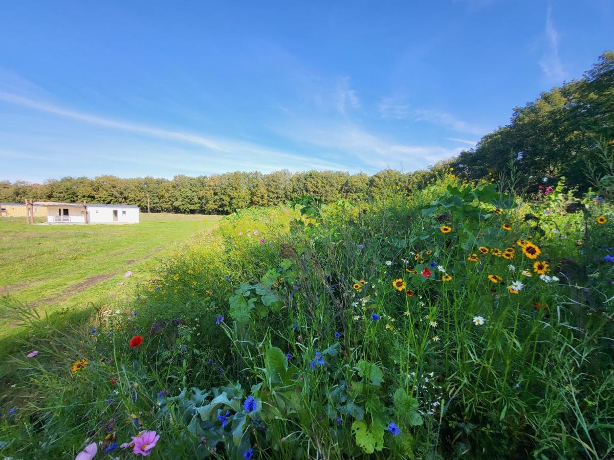 Hoeve Twente - De Bonte Specht Villa Heythuysen Bagian luar foto